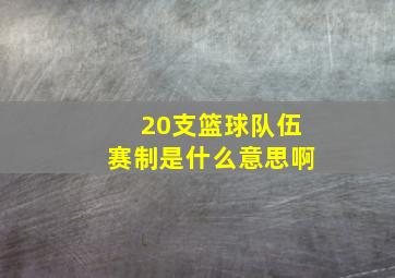 20支篮球队伍赛制是什么意思啊