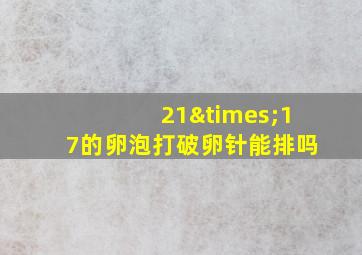 21×17的卵泡打破卵针能排吗