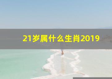 21岁属什么生肖2019