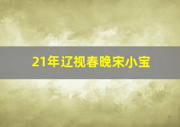 21年辽视春晚宋小宝