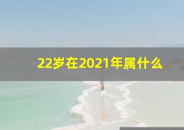 22岁在2021年属什么