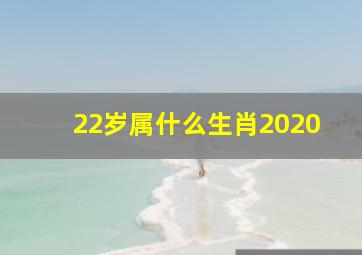 22岁属什么生肖2020