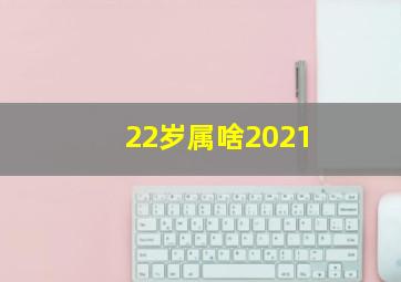 22岁属啥2021