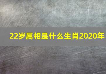 22岁属相是什么生肖2020年