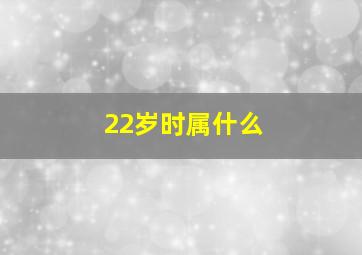 22岁时属什么