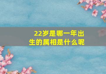 22岁是哪一年出生的属相是什么呢