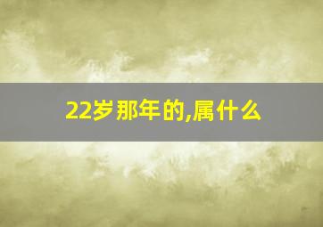 22岁那年的,属什么