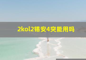 2kol2锡安4突能用吗