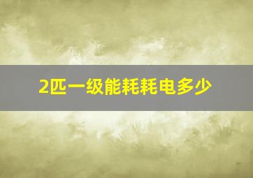 2匹一级能耗耗电多少