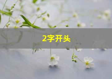 2字开头