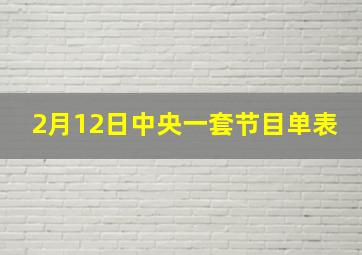 2月12日中央一套节目单表