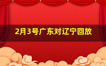 2月3号广东对辽宁回放