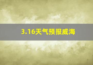 3.16天气预报威海