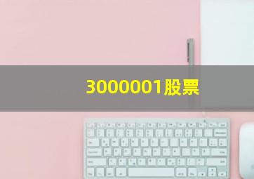 3000001股票