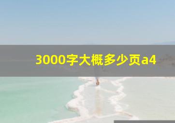 3000字大概多少页a4