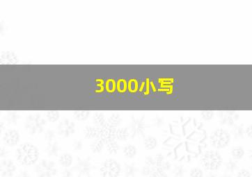 3000小写