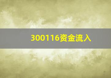 300116资金流入