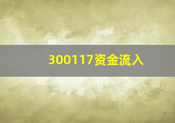 300117资金流入