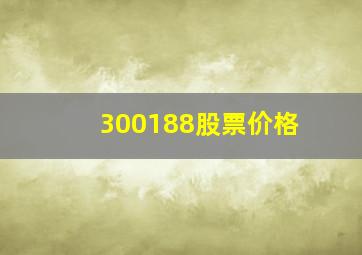 300188股票价格