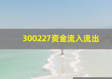 300227资金流入流出