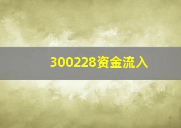 300228资金流入