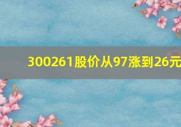 300261股价从97涨到26元