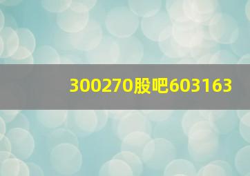 300270股吧603163