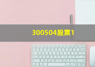 300504股票1