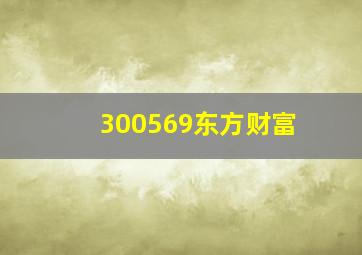 300569东方财富