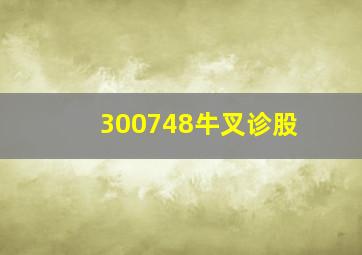 300748牛叉诊股