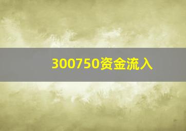 300750资金流入