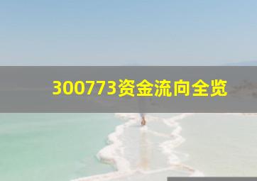 300773资金流向全览