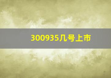 300935几号上市