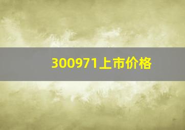 300971上市价格