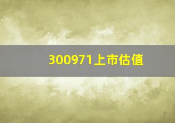 300971上市估值