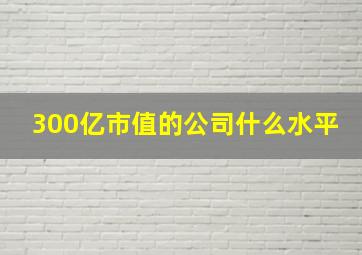 300亿市值的公司什么水平