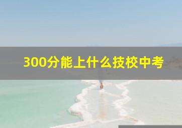 300分能上什么技校中考