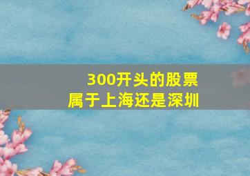 300开头的股票属于上海还是深圳