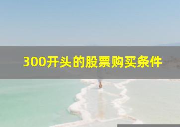 300开头的股票购买条件