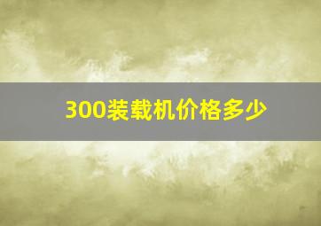 300装载机价格多少