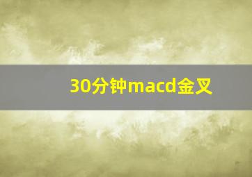 30分钟macd金叉