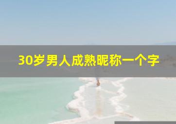 30岁男人成熟昵称一个字