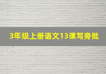 3年级上册语文13课写旁批