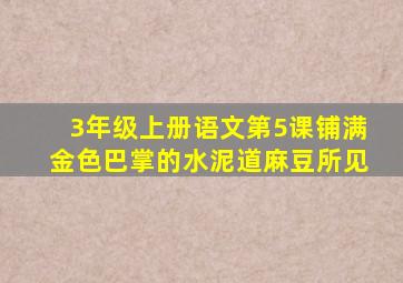 3年级上册语文第5课铺满金色巴掌的水泥道麻豆所见