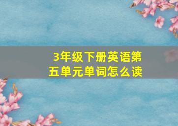 3年级下册英语第五单元单词怎么读