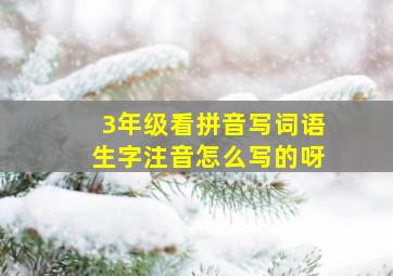 3年级看拼音写词语生字注音怎么写的呀