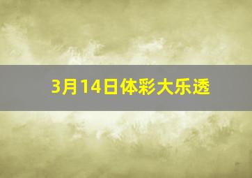 3月14日体彩大乐透