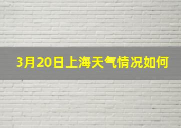 3月20日上海天气情况如何