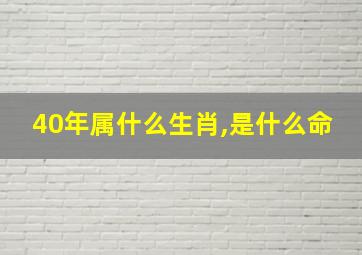 40年属什么生肖,是什么命