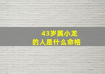 43岁属小龙的人是什么命格